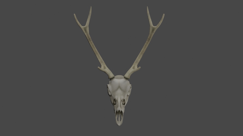 『鹿の頭蓋骨』3Dモデル△4088