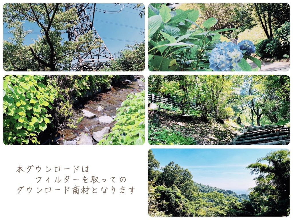 0ooL_Free photo June