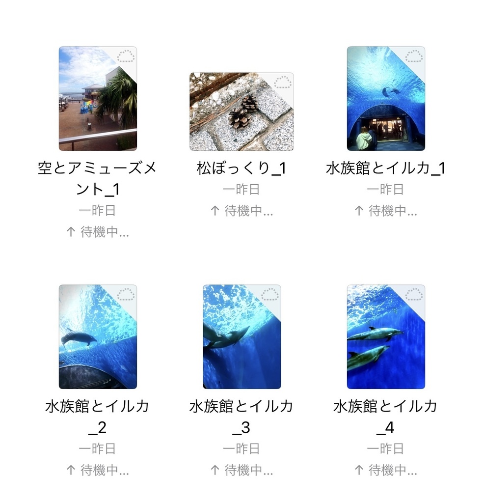 0ooL_Free photo July