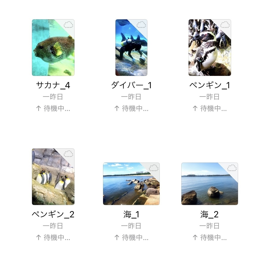 0ooL_Free photo July