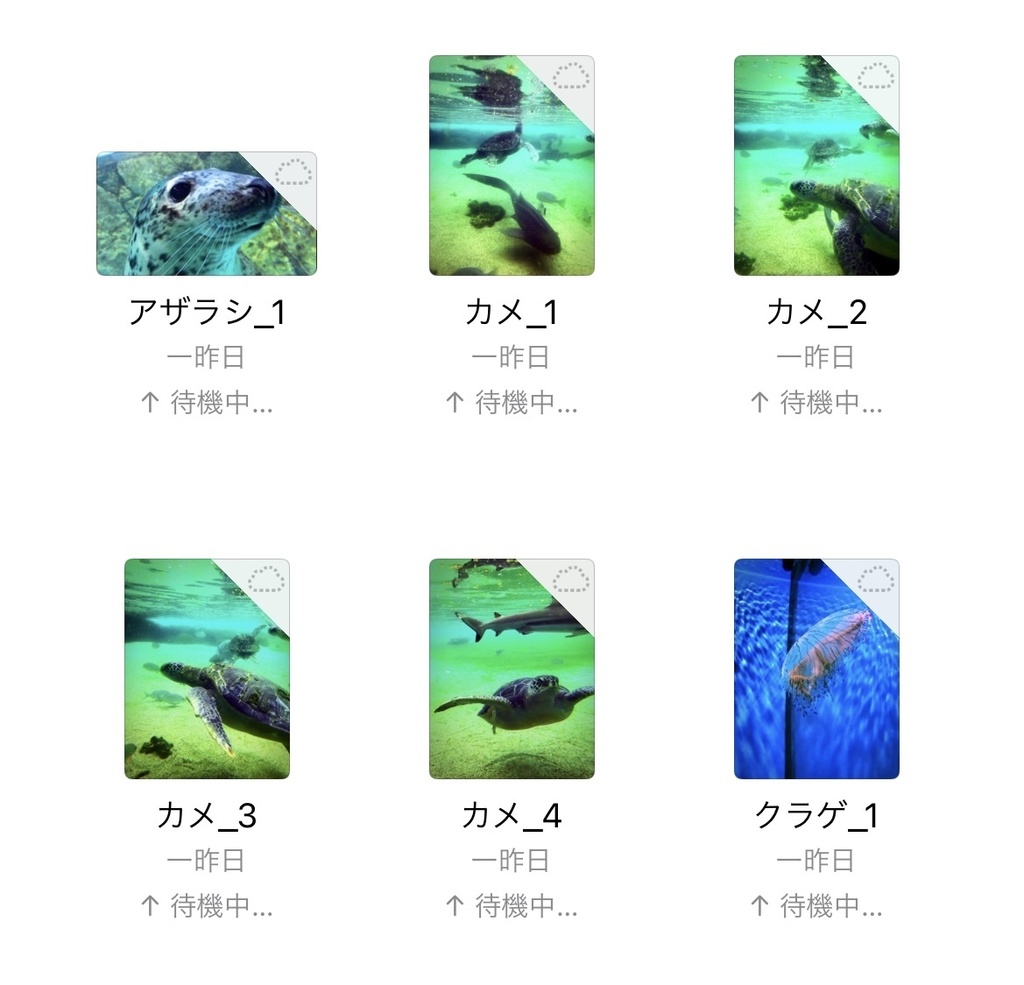 0ooL_Free photo July