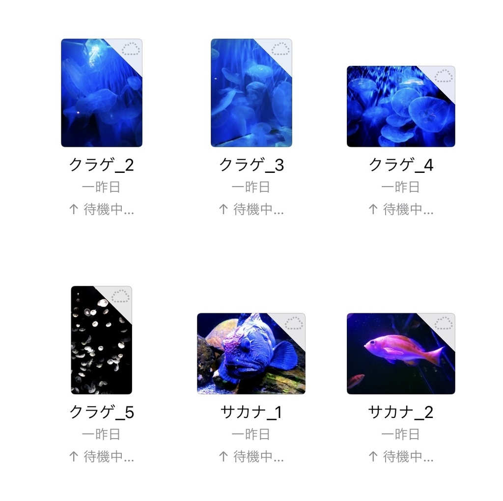 0ooL_Free photo July