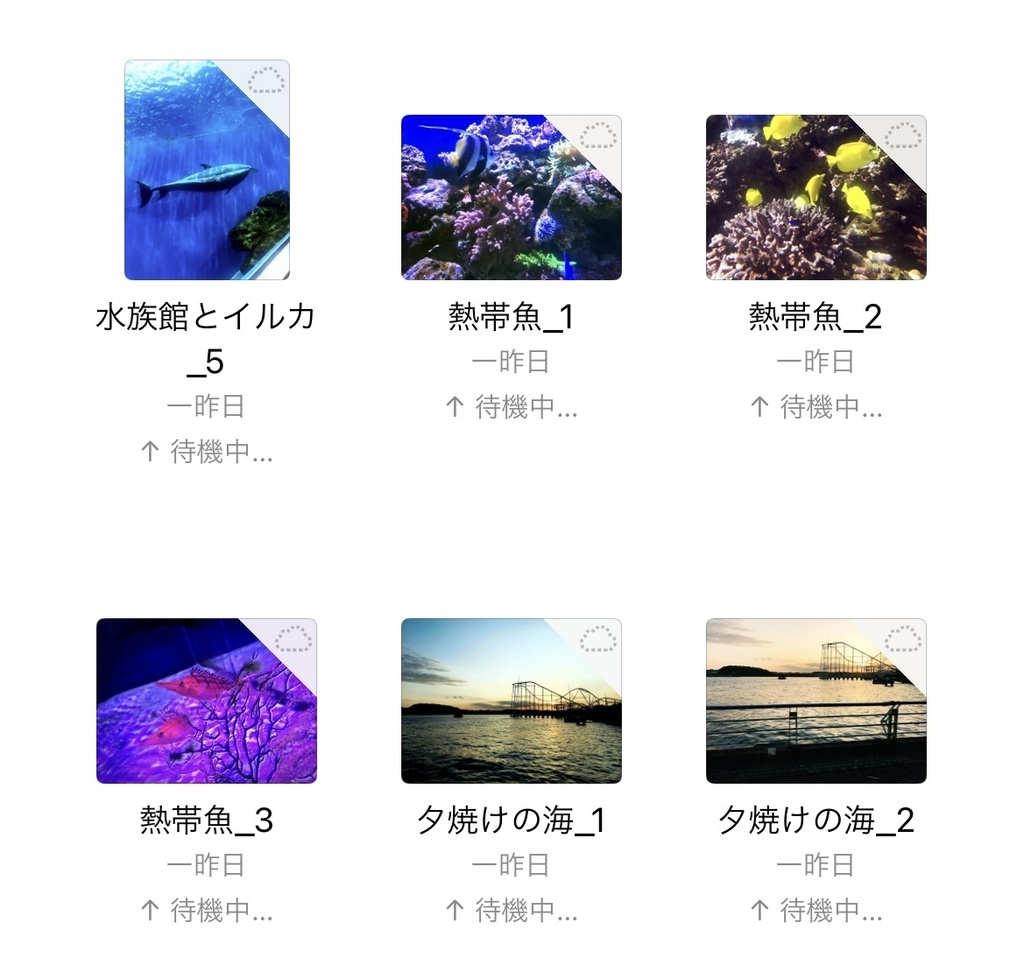 0ooL_Free photo July