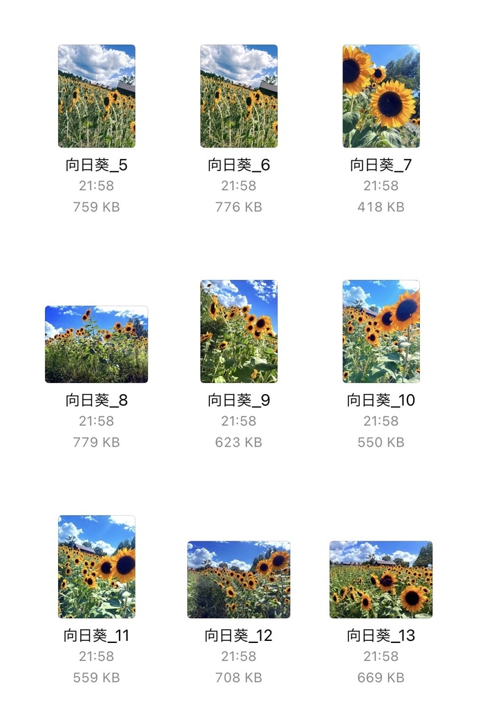 0ooL_Free photo August