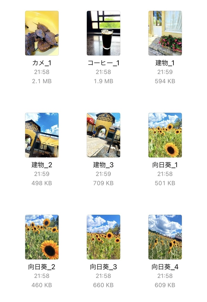 0ooL_Free photo August