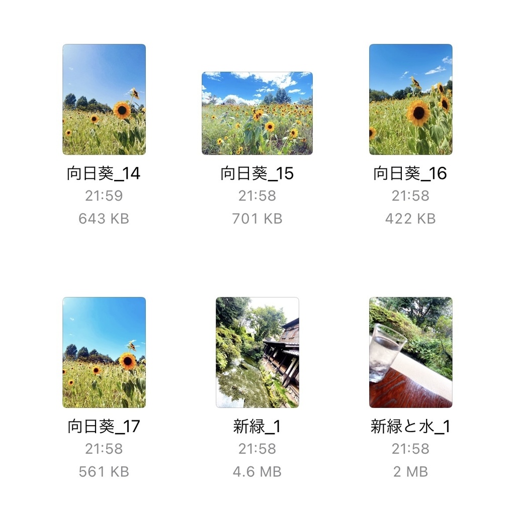 0ooL_Free photo August