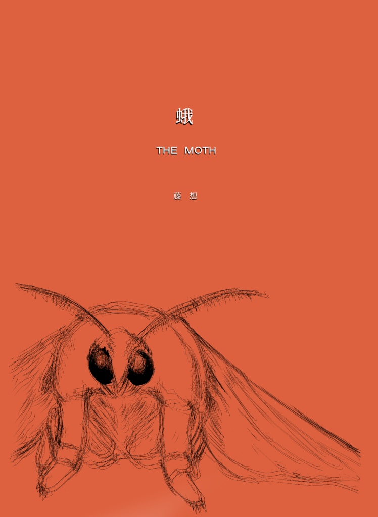 蛾