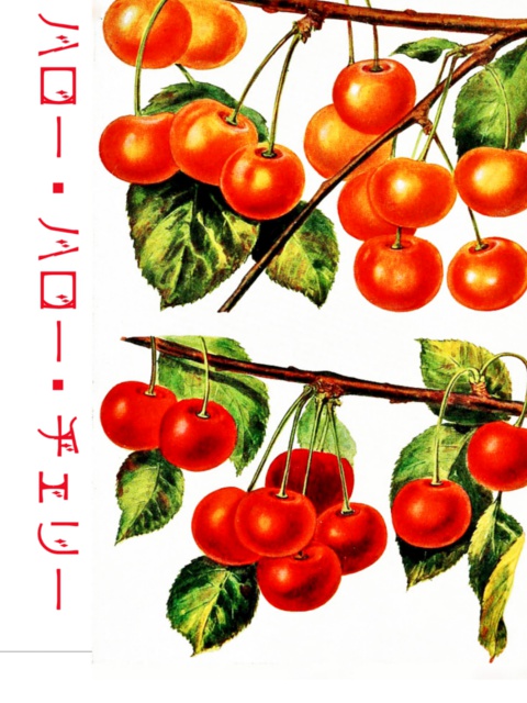 ハロー・ハロー・チェリー