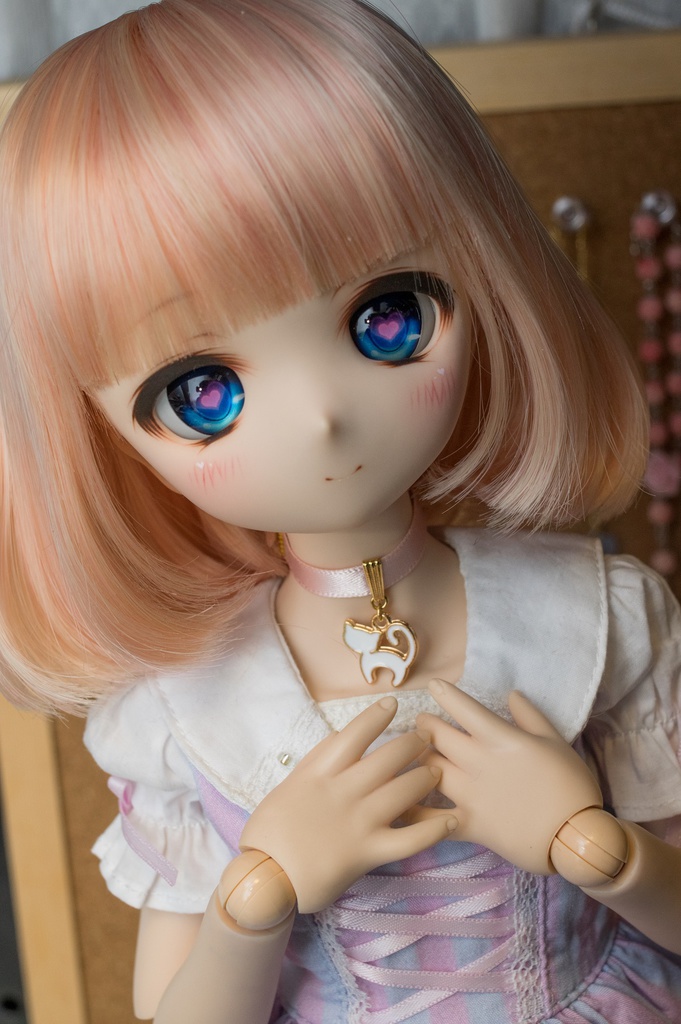 (MDD)(DD/DDS)ねこチョーカー