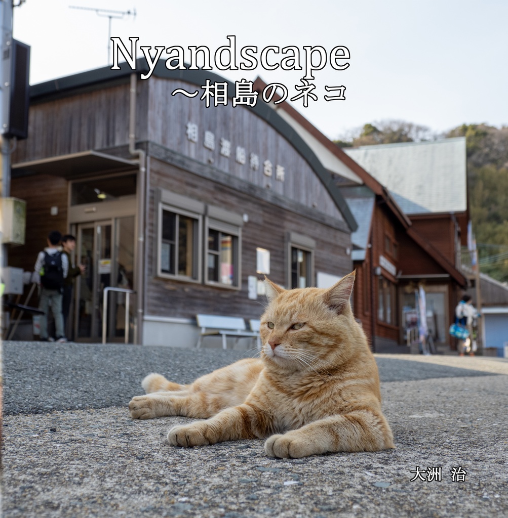 Nyandscape ～相島のネコ