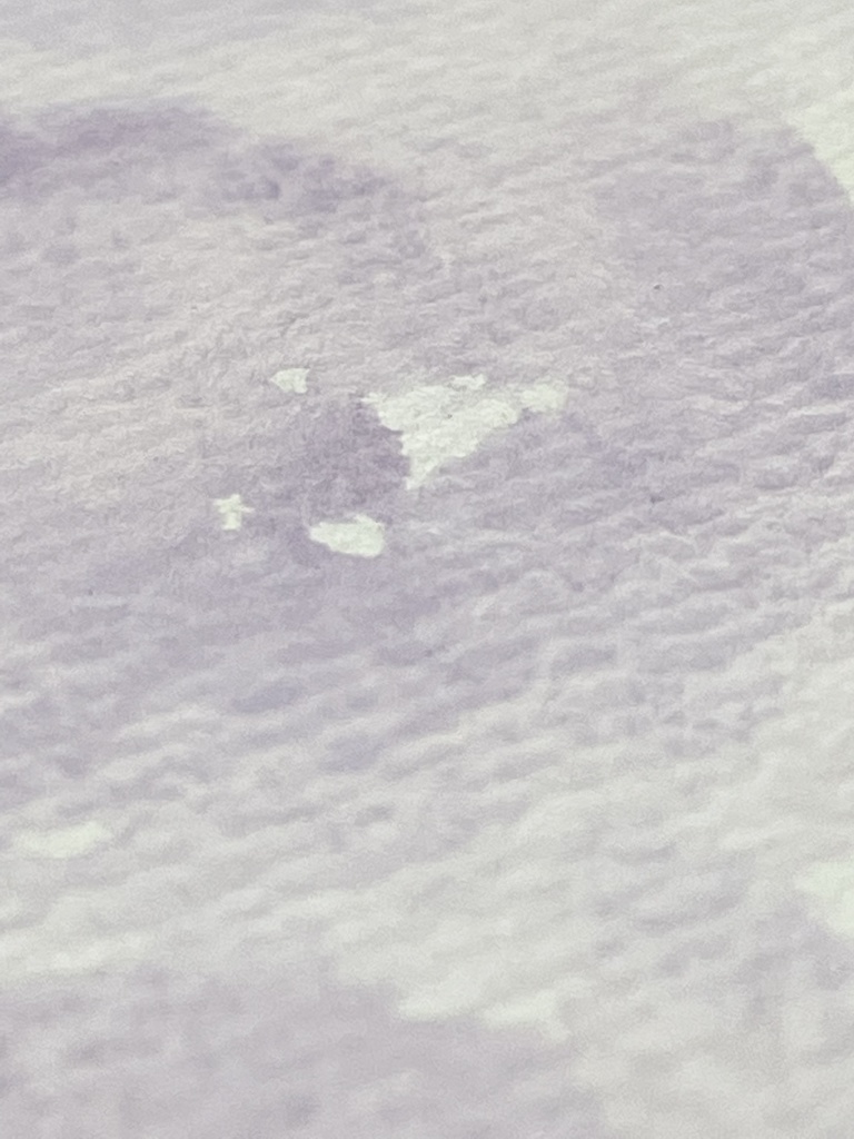 5/10「ソレイユ・レヴァン」再販