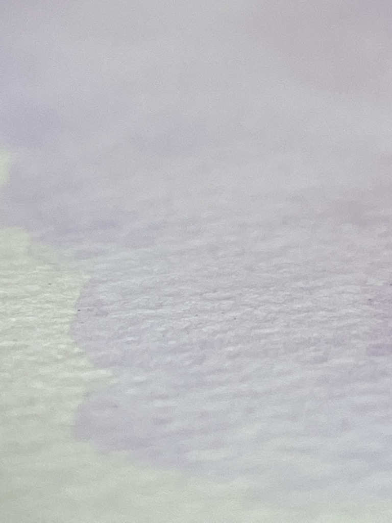 5/10「ソレイユ・レヴァン」再販