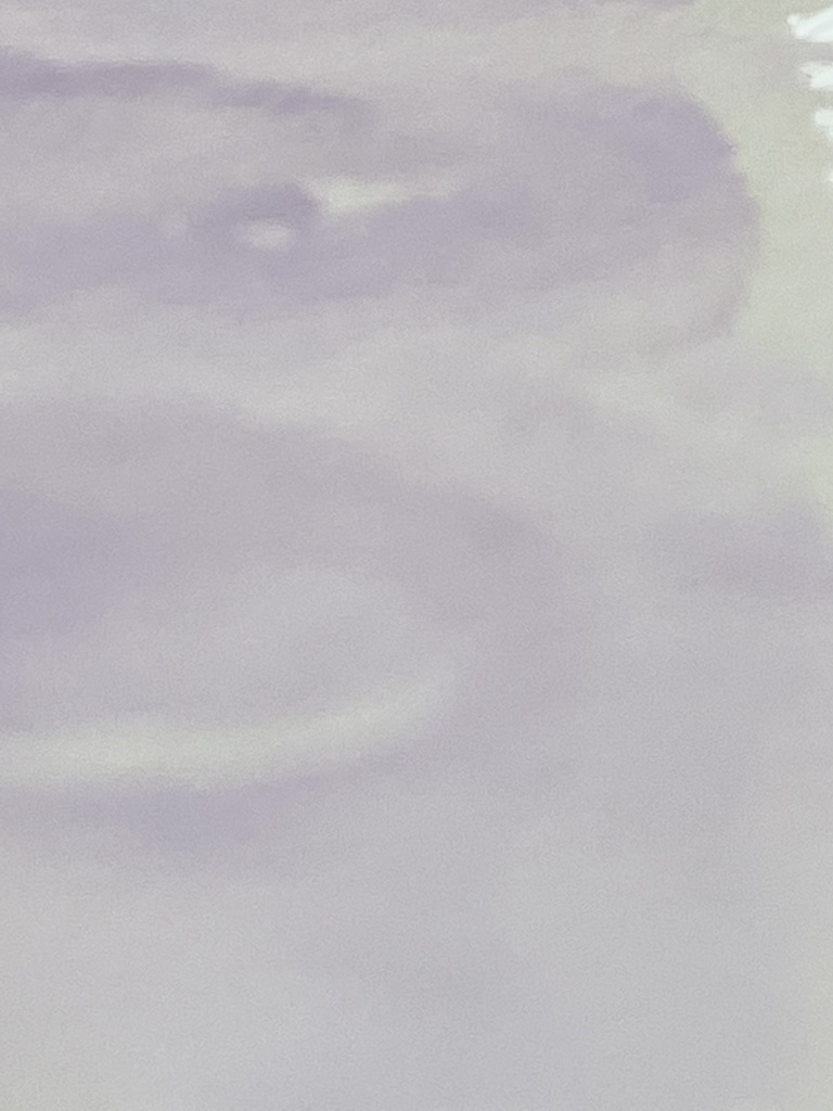 5/10「ソレイユ・レヴァン」再販