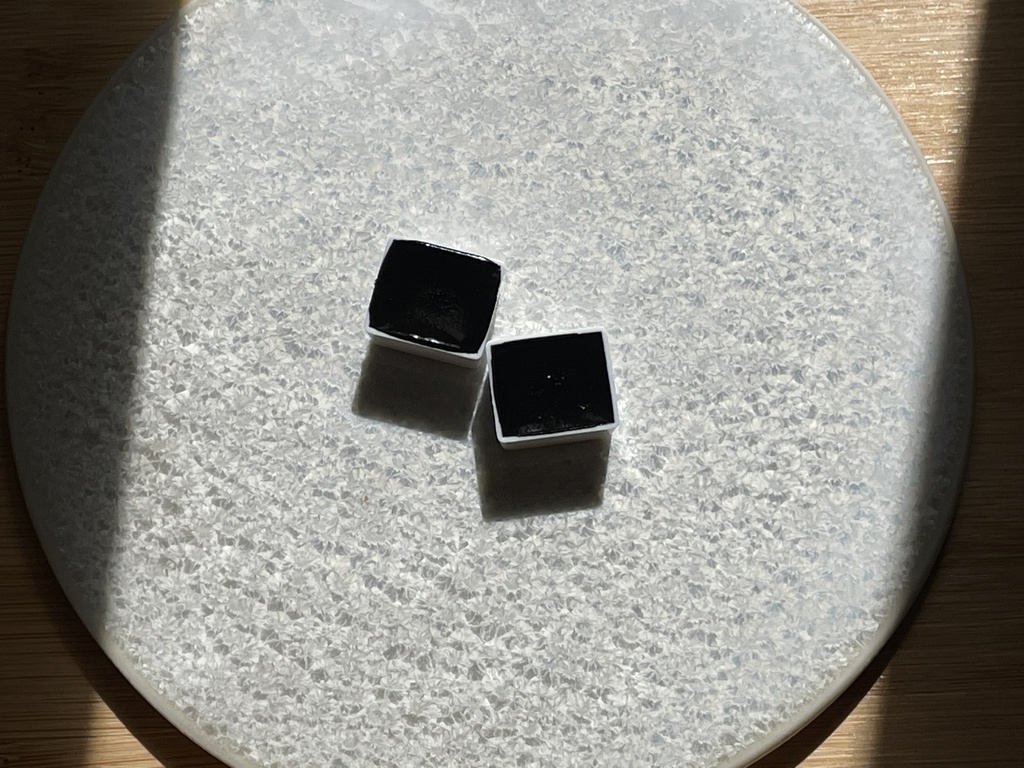 10/17再入荷「イカ墨セピア」