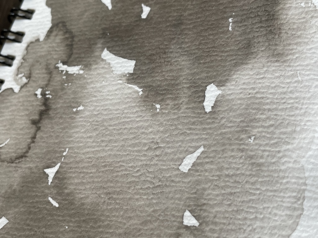 10/17再入荷「イカ墨セピア」