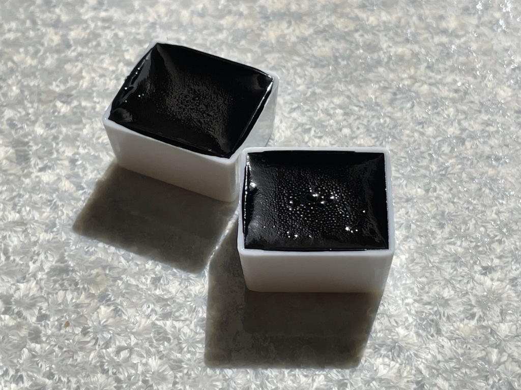 10/17再入荷「イカ墨セピア」