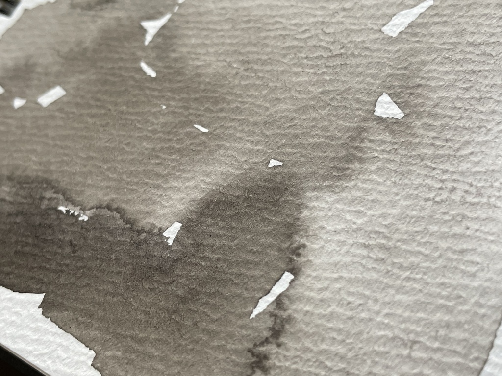 10/17再入荷「イカ墨セピア」