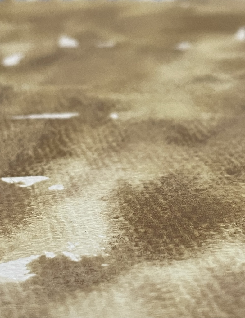 8/26 21時販売絵具「エルグ」