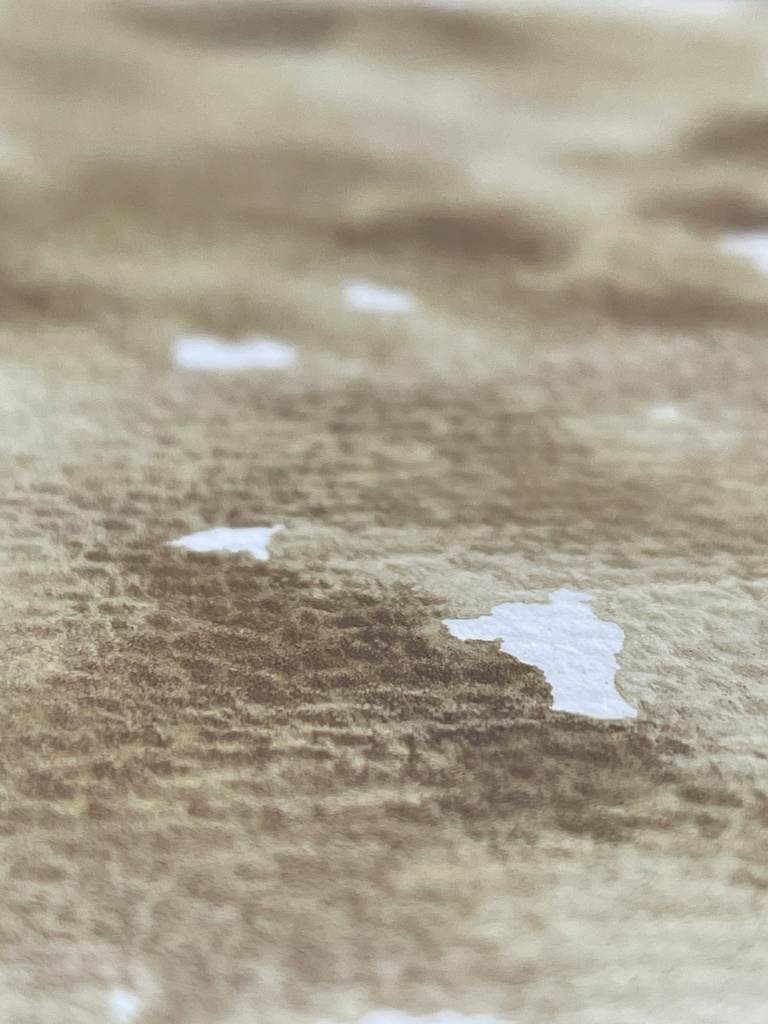 8/26 21時販売絵具「エルグ」