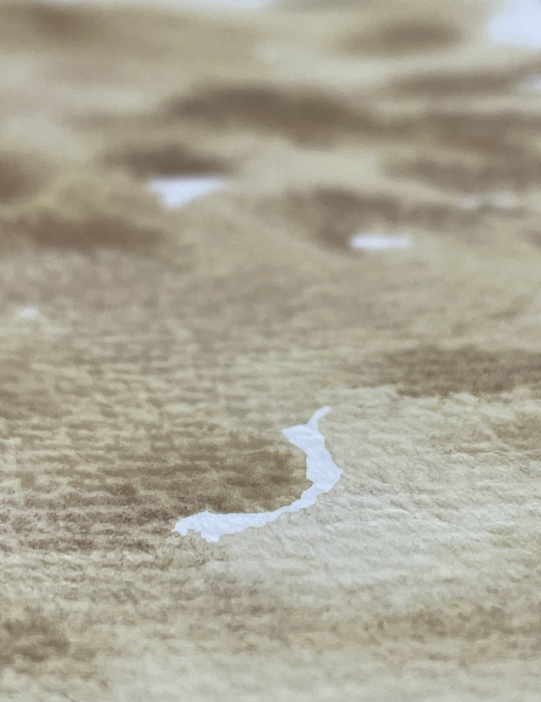 8/26 21時販売絵具「エルグ」