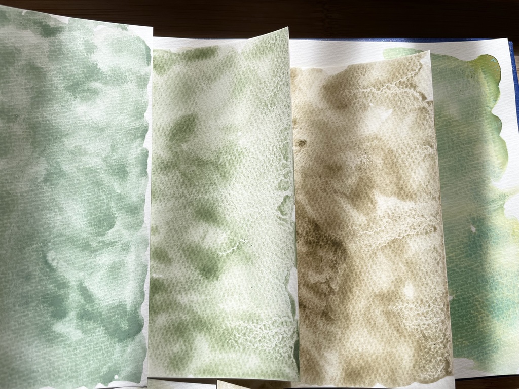 3/20 21時販売「はるのみどりいろ4色」