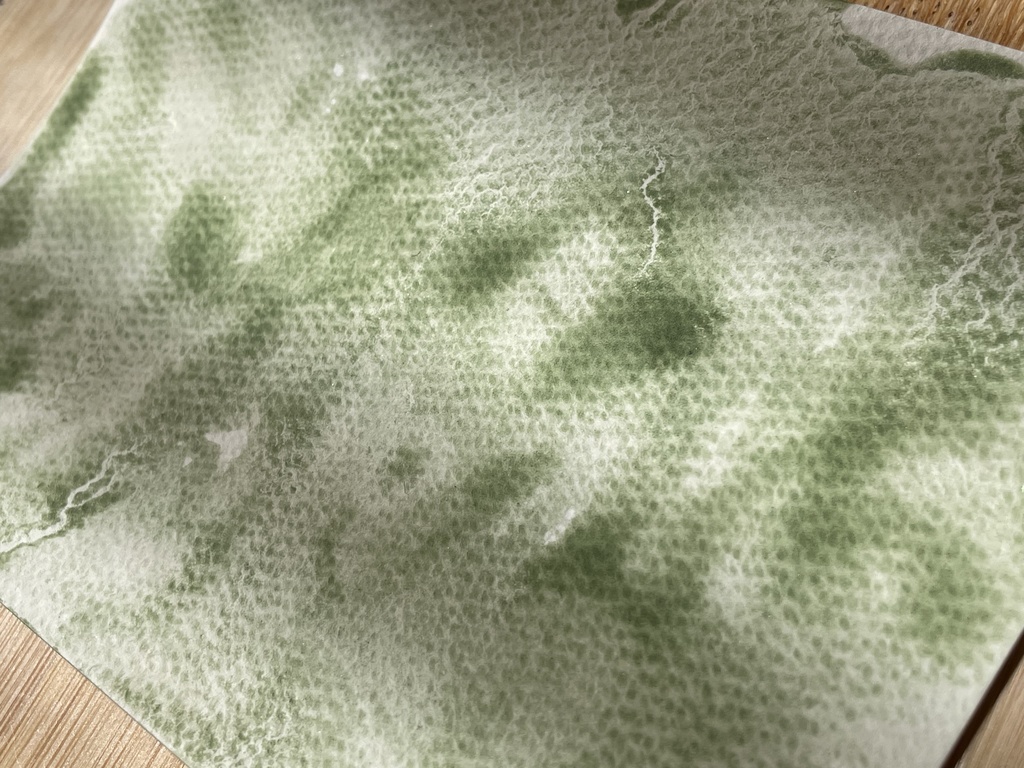 3/20 21時販売「はるのみどりいろ4色」