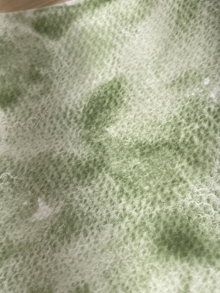 3/20 21時販売「はるのみどりいろ4色」