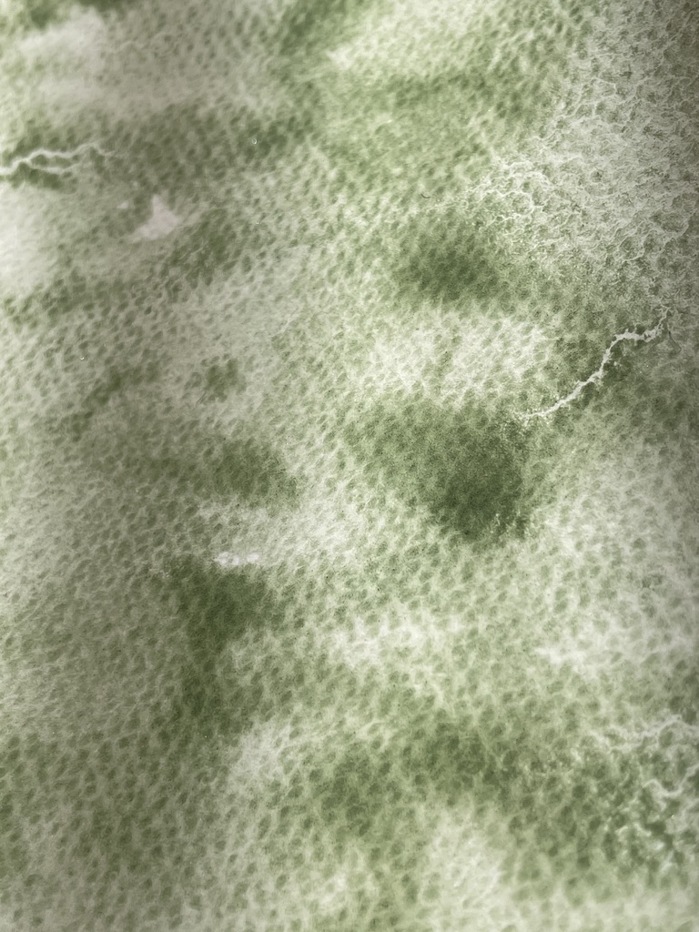 3/20 21時販売「はるのみどりいろ4色」