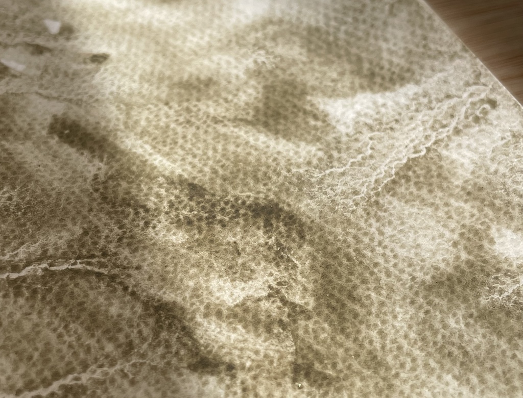 3/20 21時販売「はるのみどりいろ4色」