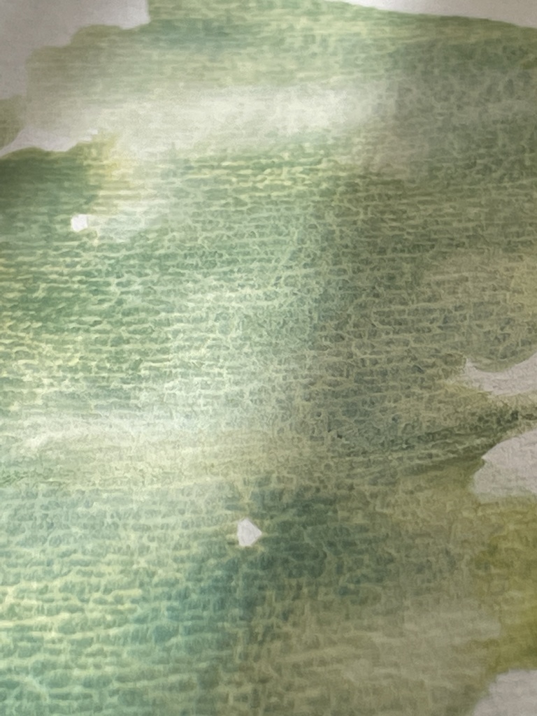 3/20 21時販売「はるのみどりいろ4色」