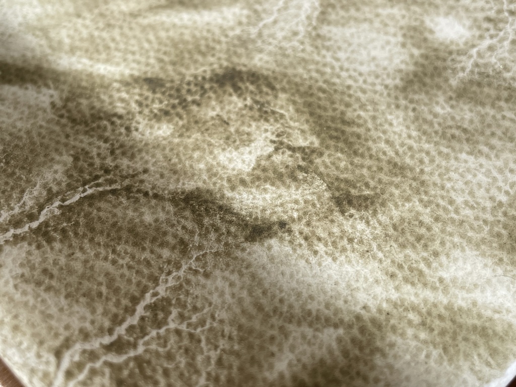 3/20 21時販売「はるのみどりいろ4色」