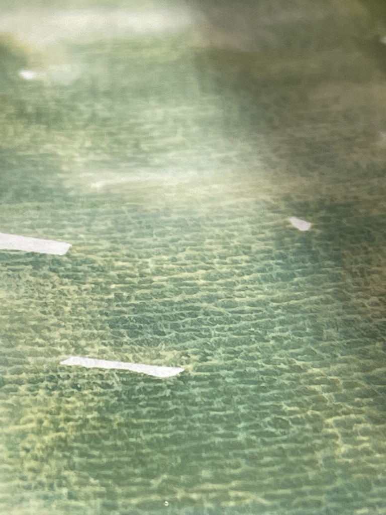 3/20 21時販売「はるのみどりいろ4色」