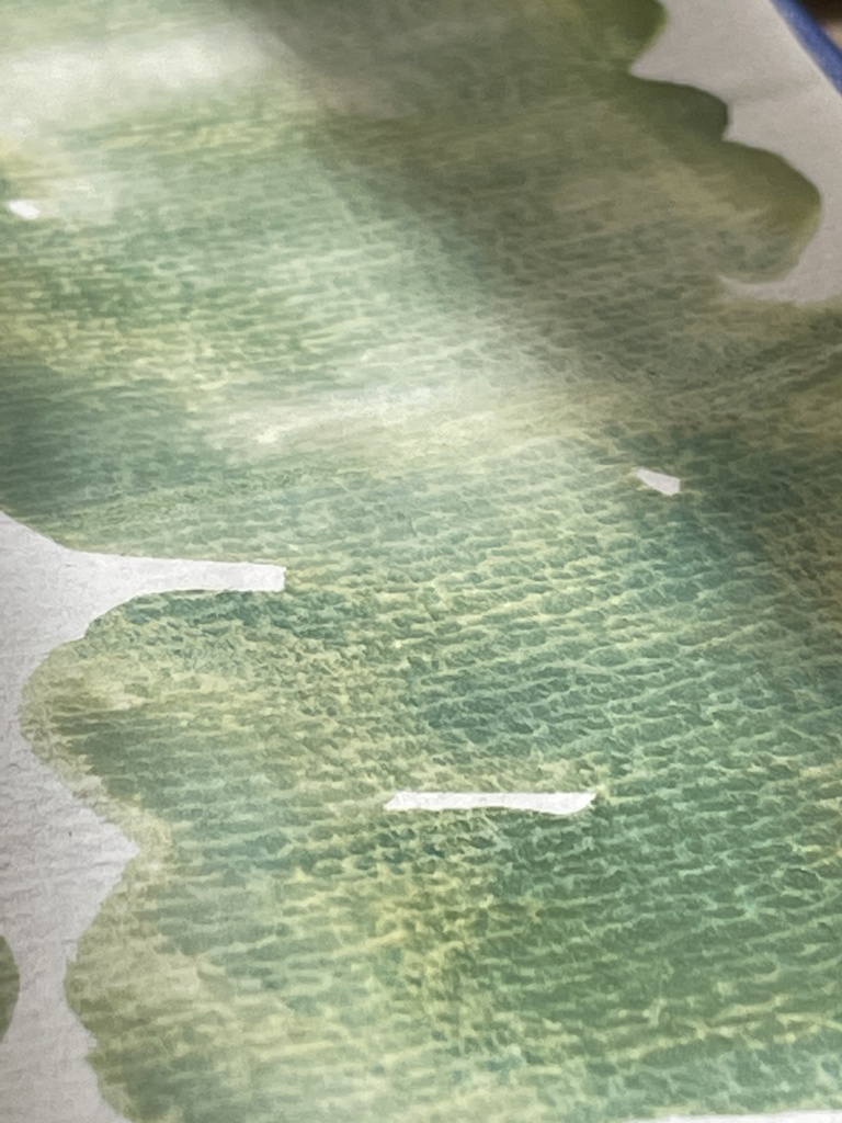 3/20 21時販売「はるのみどりいろ4色」