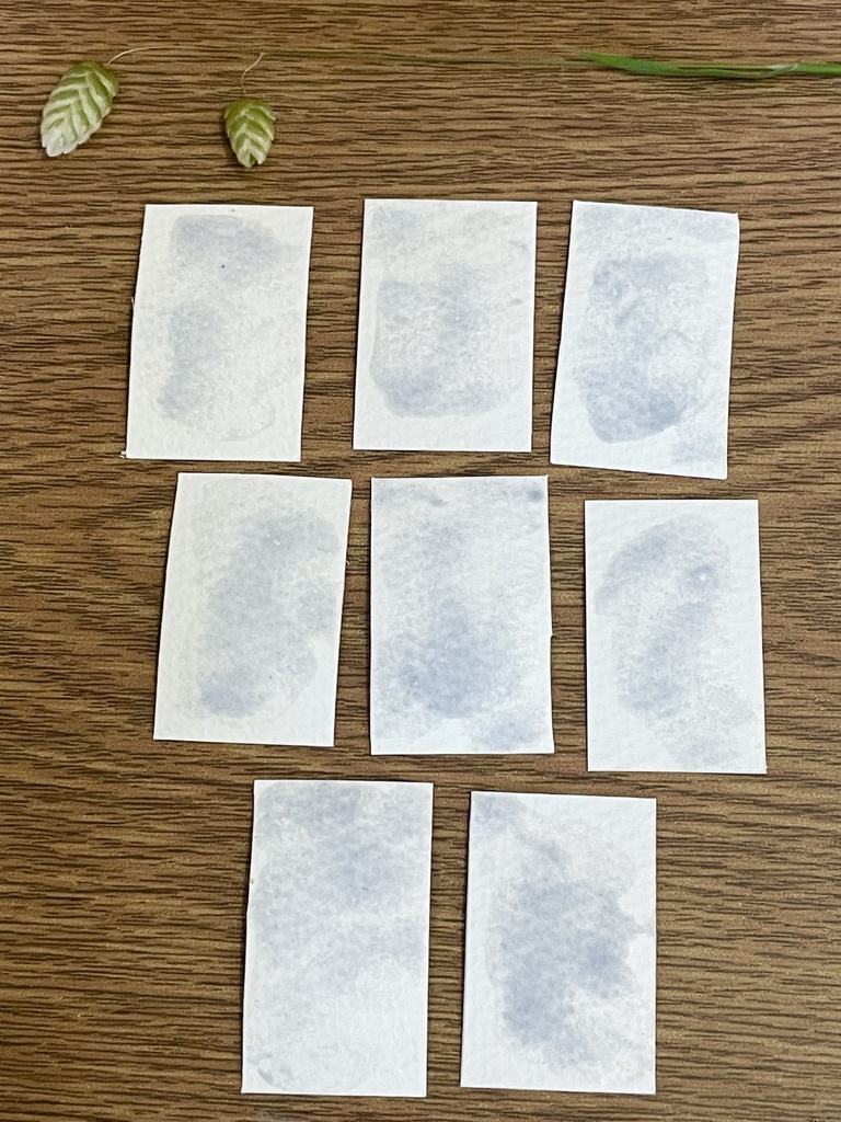 6/29 21時販売「鉱物・珊瑚の絵具」