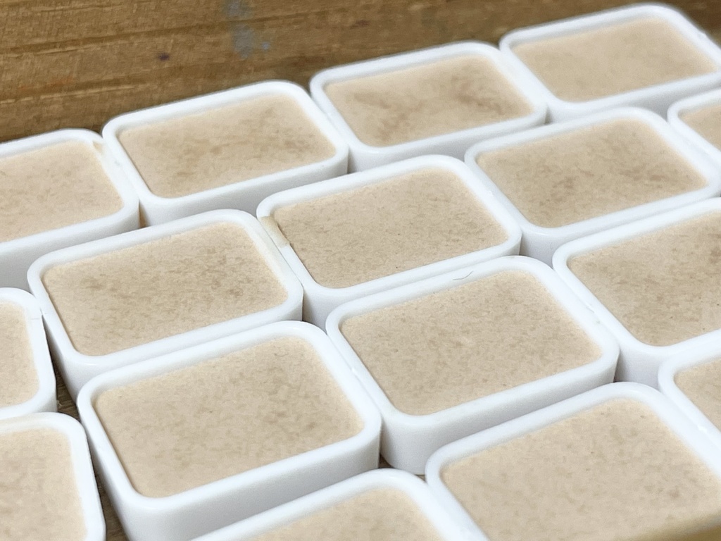 6/29 21時販売「鉱物・珊瑚の絵具」