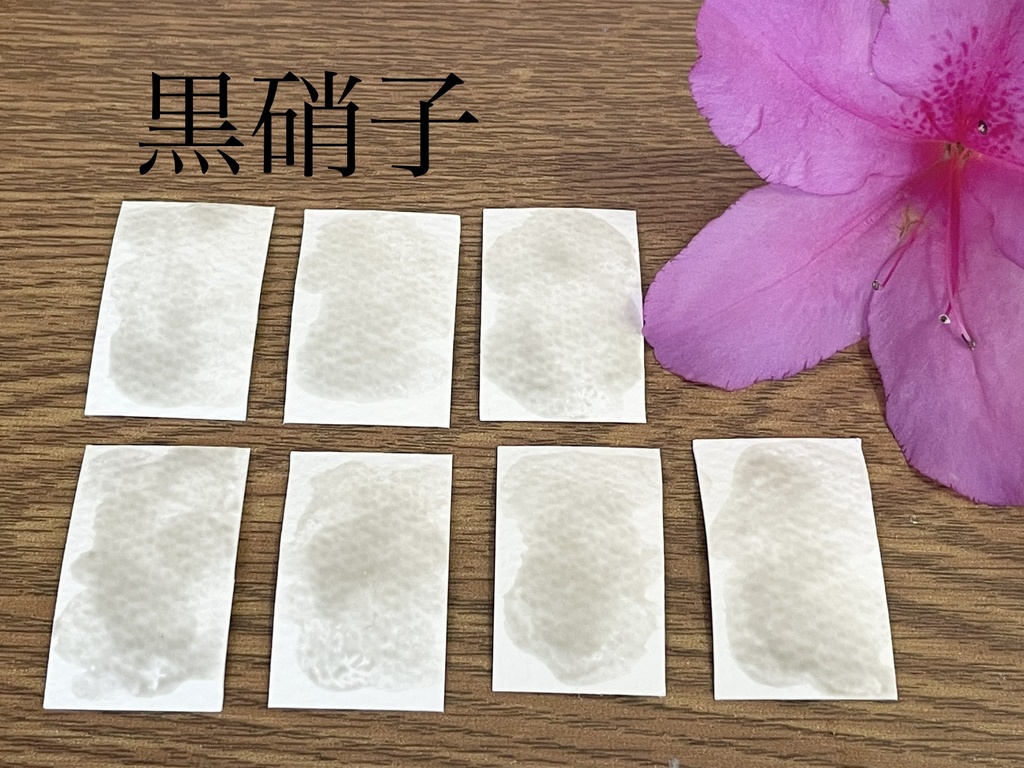 6/29 21時販売「鉱物・珊瑚の絵具」