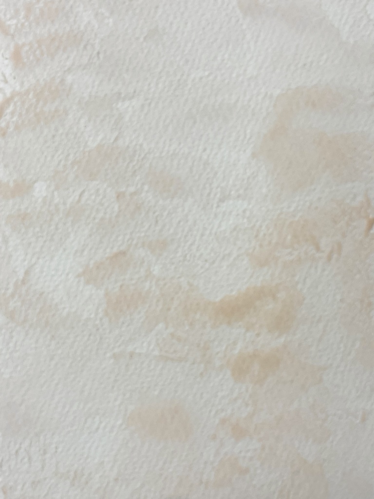 6/29 21時販売「鉱物・珊瑚の絵具」