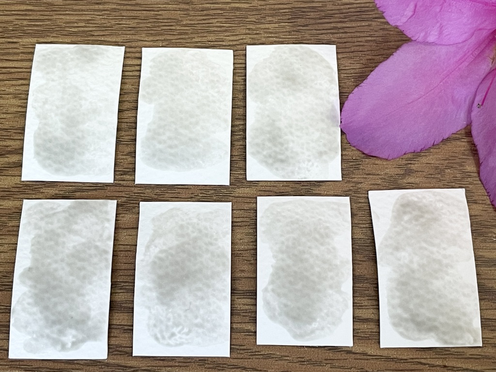 6/29 21時販売「鉱物・珊瑚の絵具」