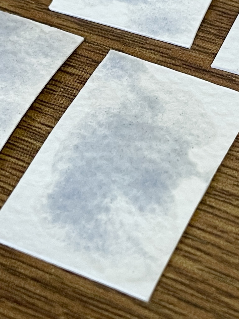 6/29 21時販売「鉱物・珊瑚の絵具」