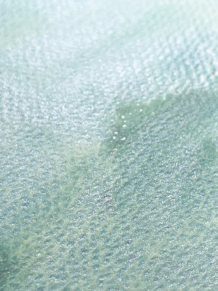 2025.1.4 21時販売「乙巳(きのとみ)」