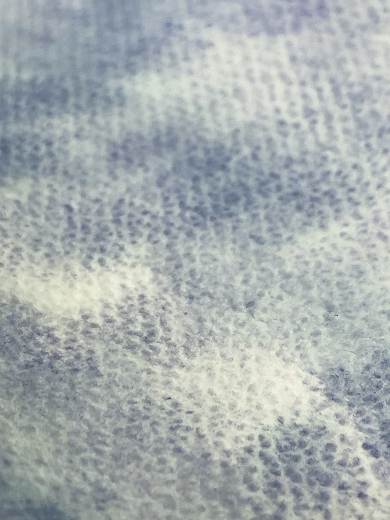 3/22 21時販売絵具「アジュガ」