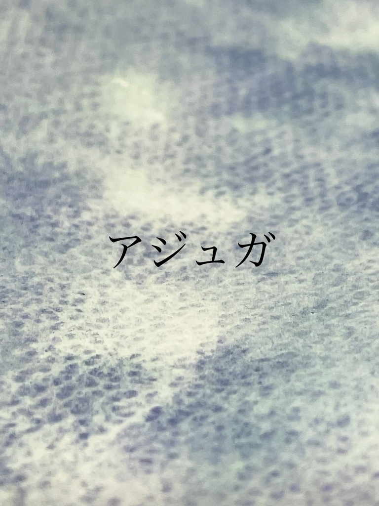 3/22 21時販売絵具「アジュガ」