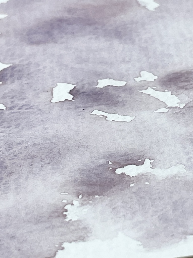 7/5 21時頒布「エリザベス」「アドリアナ」