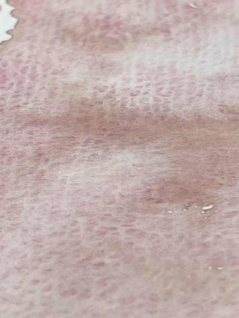 7/5 21時頒布「エリザベス」「アドリアナ」