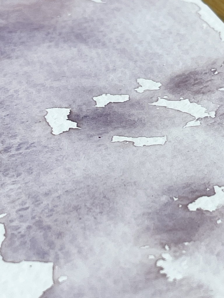 7/5 21時頒布「エリザベス」「アドリアナ」