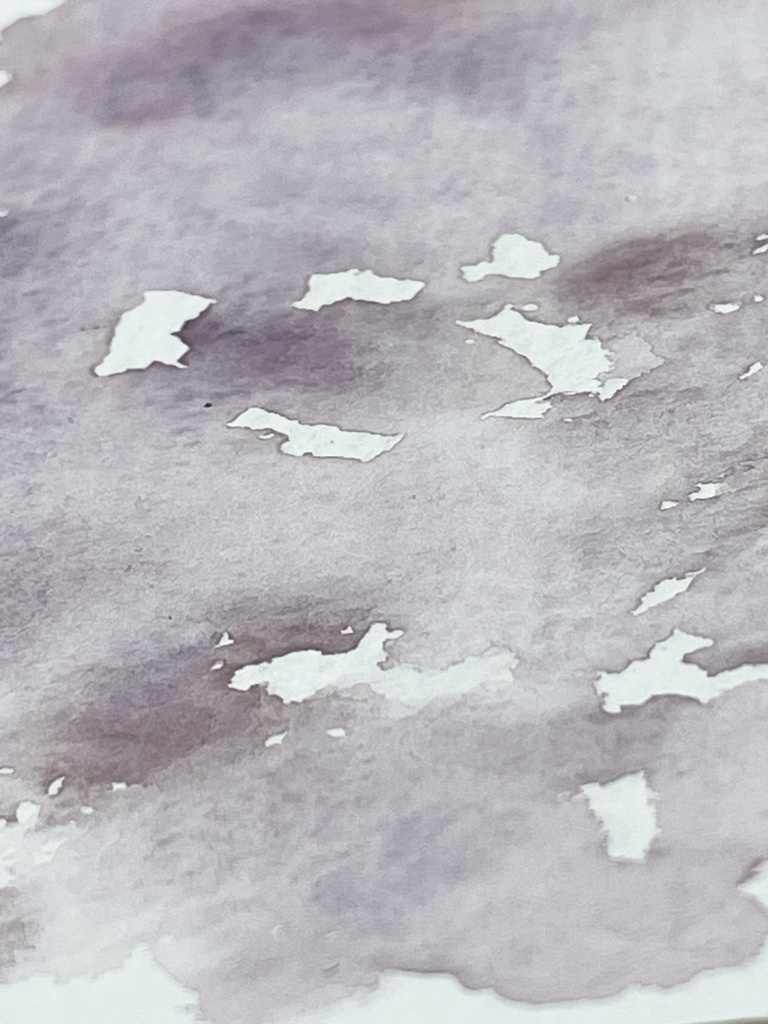 7/5 21時頒布「エリザベス」「アドリアナ」