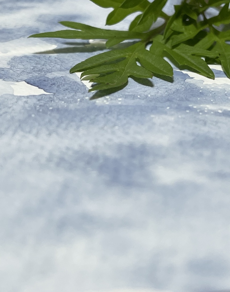 7/5 21時頒布「父母が浜」「ワイキキ」