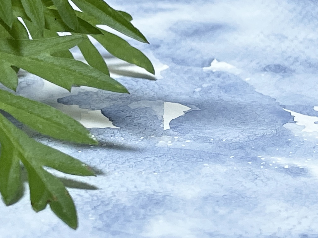 7/5 21時頒布「父母が浜」「ワイキキ」