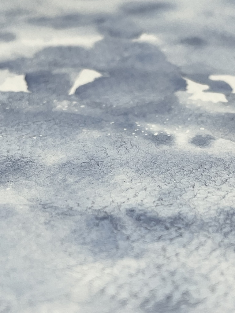 7/5 21時頒布「父母が浜」「ワイキキ」