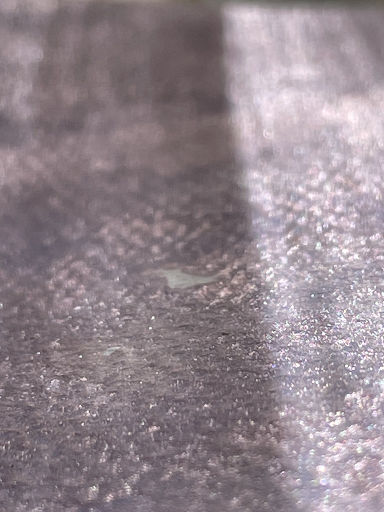 12/6 21時販売「パピリオ」